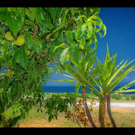 Sea La Vie Skala Rachoni (Thasos)
